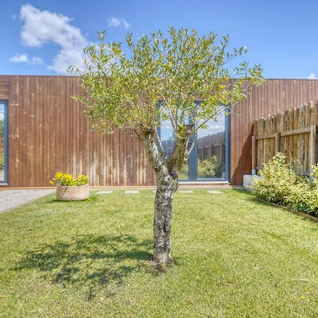 Caju Villas Montargil - Villa Farinha Branca 外观 照片